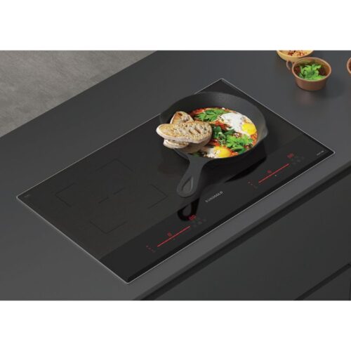 Hình ảnh bếp từ Eurogold EUH1188 2 vùng nấu lắp âm